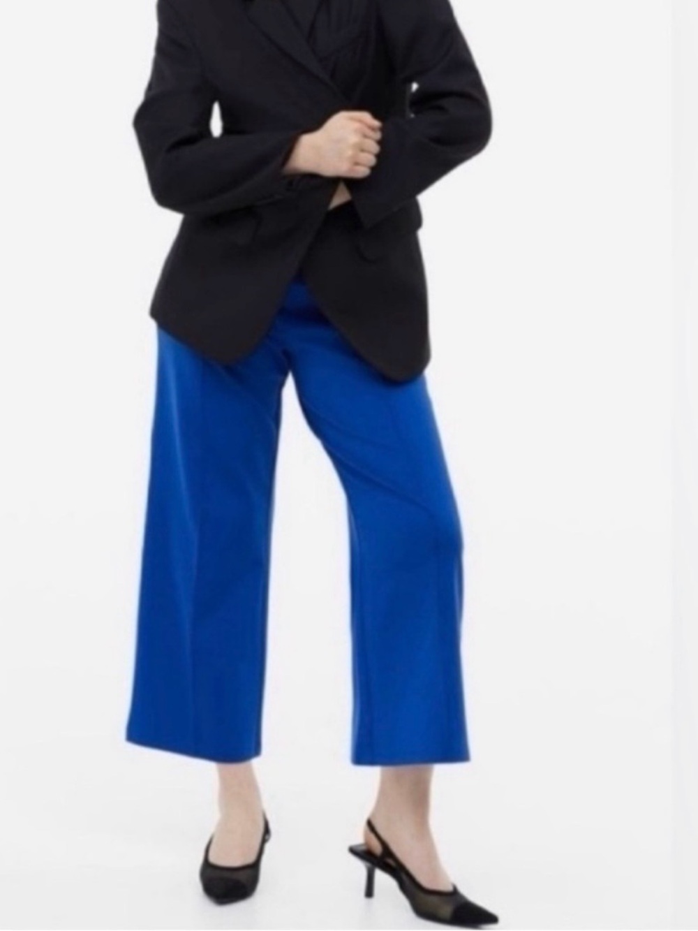 H&M Wide Leg Dress Pants
